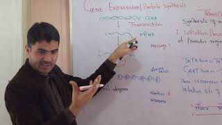 L6 Transcription Gene Expression Protein synthesis part 1 in detail Urdu hindi by Dr Hadi [upl. by Etra691]