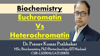 Euchromatin and Heterochromatin [upl. by Pirri744]