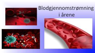 Blodet Blodets oppgaver og sammensetting [upl. by Aynwat]