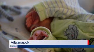 Híradó – 20241114 – Csütörtök – SopronTV [upl. by Accebar]