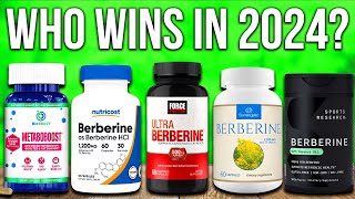 TOP 5 Best Berberine Supplements of 2024 [upl. by Erehpotsirhc]