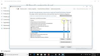 Cómo bloquear un programa en el Cortafuegos en Windows 10 [upl. by Wendel265]