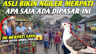 🛑PAGI INI BIKIN HEBOH‼️MERPATINYA HILANG DIAMBIL PAKSA  GREBEK PASAR [upl. by Errol]