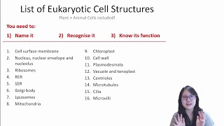 Chapter 13b  Cell Structure and Function Structure 1016  Cambridge ALevel 9700 Biology [upl. by Eikcim]