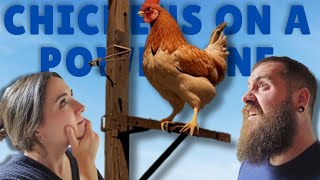 Chickens on a Powerline  Ep 13  The Poddy Mouth [upl. by Rigdon]