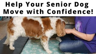 🐶 Senior Dog Balance amp Coordination Rehab Exercises with my Senior Cavaliers Chiari Malformation [upl. by Colbye668]