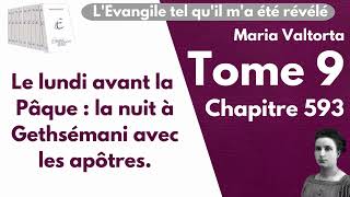 Maria Valtorta  Tome 9 chapitre 593  LEvangile tel quil ma été révélé [upl. by Esojnauj442]