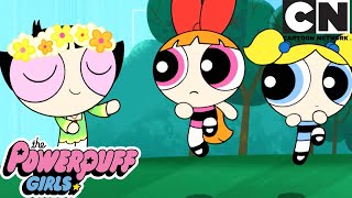 SUMMER COMPILATION  The Powerpuff Girls  Cartoon Network [upl. by Duaner952]