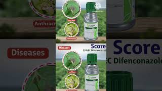 Top Fungicides of syngenta  Syngenta Fungicide products in India  fungicide top [upl. by Annairdna]