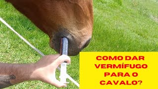 Como Vermifugar Seu Cavalo  NOVAS DICAS  rumoa100k [upl. by Tabb837]