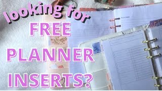 Looking for FREE Planner Inserts Peanuts Planner Co Day Designer amp More [upl. by Ilonka]