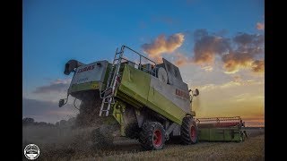 Dreschen 2017  Claas Lexion 480  580TT  Mercedes Benz Actros 3340  2630 [upl. by Tnecillim]