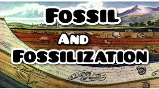 Fossil And Fossilization [upl. by Araccat934]