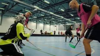 Herrelandslaget 2016  Mannequinchallenge  innebandy [upl. by Seerdi502]