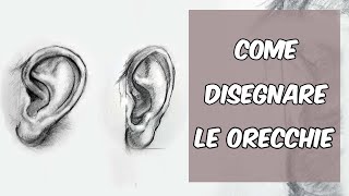 Come disegnare lorecchio interno ed esterno [upl. by Eiddet192]