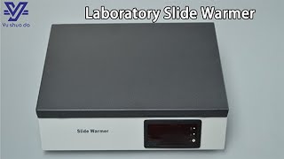 Laboratory Tissue Pathological Heating Slides Machine Tissue Slide Warmer [upl. by Emmalyn]