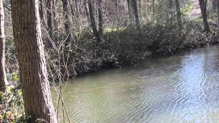 SEVEN LAKES ANGLING PAICES HILL ALDERMASTON BERKSHIRE [upl. by Ylebmik]