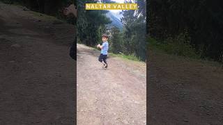 Exploring Naltar Valley  A Breathtaking Pakistan Vlog shorts [upl. by Marshall]