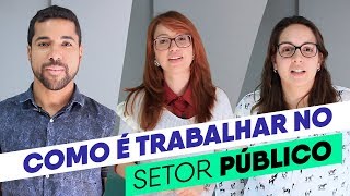 Como é Trabalhar no Setor Público [upl. by Coney659]