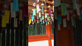 Wind bells at Heian Shrine Kyoto 🇯🇵 furin windbell kyoto HeianShrine shrines japansummer [upl. by Fariss943]