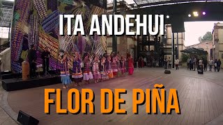 ItaAndehui Danza FolklóricaFlor de Piña [upl. by Duck]