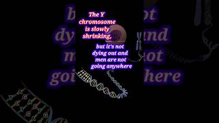 Is the Y Chromosome Really Dying The Science Explained [upl. by Noiro]