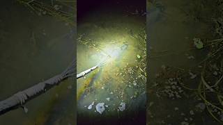 Night Fishing  Traditional Fishing 🌻 part49 fishing nightfishing shorts shortsfeed bigfish [upl. by Udall]