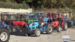 Peronospora  In Abruzzo danni per 200 mln [upl. by Franky773]