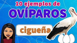 📗🤓10 EJEMPLOS FÁCILES DE Ovíparos 🛑I Los OVÍPAROS I EJEMPLOS [upl. by Weixel614]