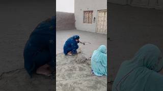 rozina vlogs villagelife seharalvi bajikalo [upl. by Bidget]