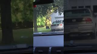 Black Bear Break In Garage For Her Cub bears bearcubs bears blackbear mamabear [upl. by Banebrudge]