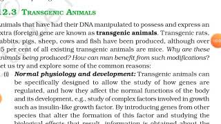 Transgenic Animals  Class12 NCERT Biology  Biotechnology and its Applications [upl. by Nami]