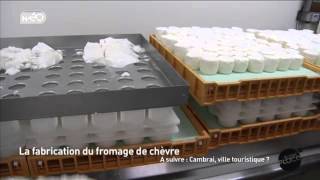 La fabrication du fromage de chèvre [upl. by Zandra457]