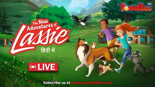 🔴LIVE  LASSIE  DOG STORY  PET LOVERS  HINDI  LASSIE amp ZOE [upl. by Tailor852]