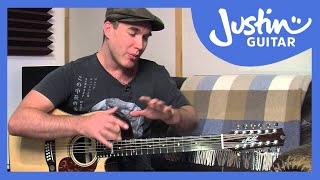 12 String Guitar Tuning Tips amp Tricks on a Maton Messiah Guitar Lesson TE501 [upl. by Nocaj]