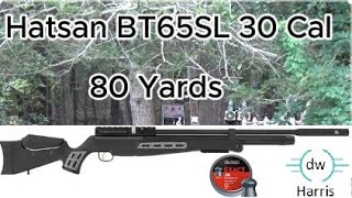 Hatsan BT65SL 30 PCP Rifle Shooting Bottles 40 50 amp 80 Yards [upl. by Enamart]