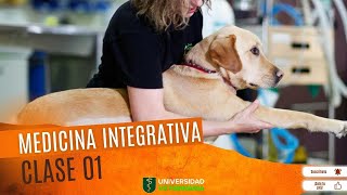 MEDICINA VETERINARIA INTEGRATIVA  CLASE 01 [upl. by Huskamp]