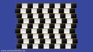 Optische Illusion parallele Linien sehen gebogen aus [upl. by Ruth]