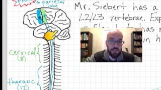 Spinal Cord Injury Physiology  Pathophysiology [upl. by Ail]