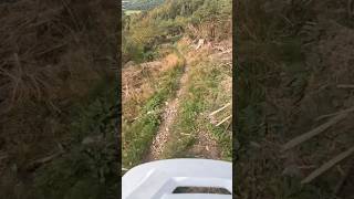 Crows Nest at Dunkeld mtb mountainbiking downhillbiking downhilllife mountains gopro pov [upl. by Annaegroeg]