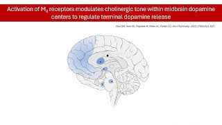 Schizophrenia Treatment Revolution Introducing Xanomeline Potential and Latest Updates [upl. by Scot865]