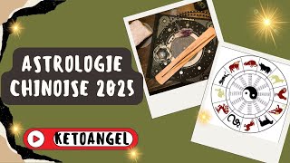 Astrologie Chinoise 2025 Horoscope et Prédictions de lAnnée du Serpent de Bois [upl. by Catharine]