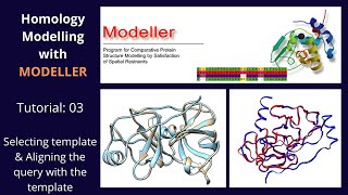 Homology Modelling  Tutorial 3 of 5  Modeller [upl. by Sidwel135]