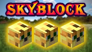 Solo Hypixel SkyBlock 125 The luckiest pet crafter alive 08 chance [upl. by Annatsirhc]