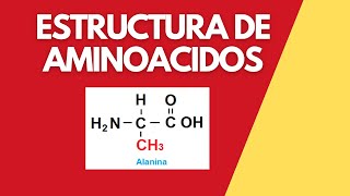 Aminoácidos Estructura [upl. by Beryl661]