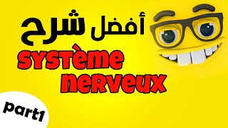 le système nerveux  La sensibilité consciente svt 3ac [upl. by Esydnac]