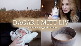 LIVET SOM NY MAMMA👶🏼🍼  Hemmagjord chailatte nya rutiner amp mysiga höstdagar 🤎🍂 [upl. by Yennek]