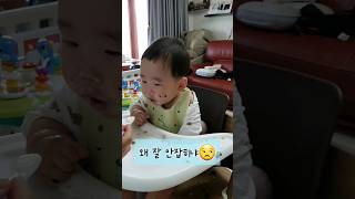 캥거루 아기  떨어진 콩 꺼내 먹어요  자기주도 아기 성장기록 아기캥거루 baby cute twins 귀여워 [upl. by Townshend]