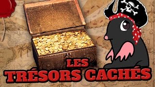 TOP 10 des TRÉSORS CACHÉS que vous pouvez trouver [upl. by Dnaloy]