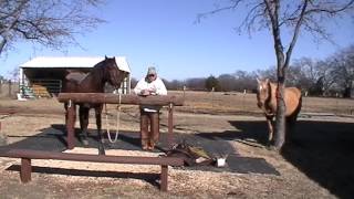 Winter Maintenance Horse Ride  Sacking Out Ambushing  Dealing with Spooks amp Fear [upl. by Aniar932]